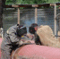 Энергетики Благовещенской ТЭЦ завершили монтаж трубопроводов тепломагистрали Центрального района раньше срока - Дальневосточная генерирующая компания
