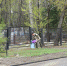Полицейские патрули проинспектируют хабаровские кладбища - ИА АмурПресс