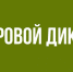 Новый "Цифровой диктант" могут пройти жители края - Министерство ИТ и связи