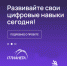 Жители края могут бесплатно овладеть востребованными цифровыми профессиями - Министерство ИТ и связи
