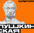 Школьники и студенты Хабаровского края все чаще оформляют "Пушкинские карты" - Министерство культуры