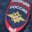 Полиция проверяет факт стрельбы по бездомным животным в частном секторе Хабаровска - Телеканал Хабаровск