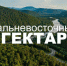 Что важно знать о лесовосстановлении, взяв Дальневосточный гектар? - Управление лесами