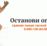 Около 2,5 тысяч лекций и бесед проведено в рамках акции "Останови огонь в Хабаровском крае - Управление лесами