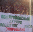 Запрет на посещение лесов продлили в Хабаровском крае - AmurMedia.Ru