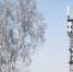 Tele2 улучшила связь во всех регионах присутствия – итоги 2023 года - AmurMedia.Ru