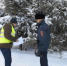 В Хабаровском крае усилили охрану ёлок в лесах в преддверии Нового года - ИА Хабаровский край сегодня
