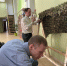 Более 200 рабочих мест создано в крае благодаря альтернативному способу трудоустройства инвалидов - Правительство Хабаровского края