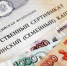 Более 280 семей уже распорядились средствами регионального маткапитала в Хабаровском крае - Министерство соцзащиты