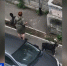 На переполненную собаками квартиру жалуются жители многоквартирного дома в Комсомольске-на-Амуре - ГТРК Дальневосточная