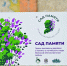 "Сад памяти" приглашает к участию жителей края! - Министерство лесного хозяйства