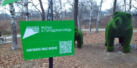 Лучшим специалистом в сфере допобразования детей в Хабаровском крае стал Юрий Монаков - AmurMedia.Ru