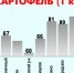Картофель1.jpg - Тихоокеанская звезда