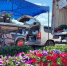 Сельскохозяйственная ярмарка выходного дня в Хабаровске стала эффективнее - ИА Хабаровский край сегодня