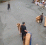Владельцев нелегального мусора в Хабаровске вычислят с помощью «цифры» - ГТРК Дальневосточная