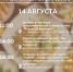 Фестиваль «Кухня без границ» стартует в Хабаровске на этой неделе - Gubernia.Com