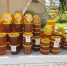 Вкус Хабаровского края: региональные продукты на фестивале «Вкусы России» 2025 - Министерство сельского хозяйства и продовольствия