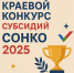 75,1 млн рублей смогут получить СОНКО края в 2025 году - Правительство Хабаровского края