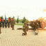 День государственного флага отметили Полуденным выстрелом у самого большого в регионе триколора - ГТРК Дальневосточная