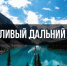 Конкурс «Бережливый Дальний Восток» - Комитет по делам ЗАГС и архивов