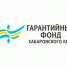 Гарантийный фонд Хабаровского края расширяет меры финансовой поддержки - Правительство Хабаровского края