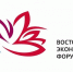 Определена программа Спортивных игр ВЭФ-2025 - Полномочный представитель Президента РФ в ДФО