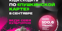 Свыше 100 тысяч человек посетили учреждения культуры края по «Пушкинской карте» с начала года - Министерство культуры