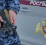 Сотрудники Росгвардии задержали агрессивного прохожего в Хабаровском крае - КП Хабаровск