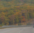 За поездки без ОСАГО будут штрафовать каждый день - решение принято - AmurMedia.Ru