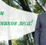 С днем работников леса! - Министерство лесного хозяйства