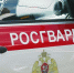 Более 220 раз выезжали по сигналу «Тревога» сотрудники вневедомственной охраны Росгвардии за прошедшую неделю - Росгвардия