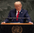 Трамп решил лично посетить Ближний Восток для скорейшего завершения конфликта - AmurMedia.Ru