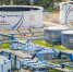 «Транснефть» отремонтировала резервуар для хранения нефти в Хабаровском крае - ИА Хабаровский край сегодня
