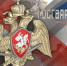 Вневедомственная охрана Росгвардии - ваш надежный партнер в сфере безопасности - Росгвардия