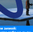 Лучшую елку определят в Хабаровске - Администрация г. Хабаровска