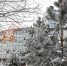 444 единицы общественного транспорта вышли на городские маршруты сегодня утром - Администрация г. Хабаровска