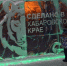 Погода на понедельник в Хабаровске: трескучий мороз и пронизывающий ветер - КП Хабаровск