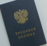 Какие профессии будут на пике зарплат в 2026 году - прогноз HR-эксперта - AmurMedia.Ru