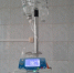 Нужно ли россиянам бояться оспу обезьян, чикунгунью и нипах - AmurMedia.Ru