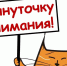 Внимание!!! - Управление ветеринарии