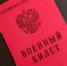 Путин утвердил новую штатную численность армии почти в 2,4 млн человек - AmurMedia.Ru