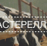 Памятка владельцам животных о мерах по профилактике, недопущению возникновения и распространения пастереллеза - Управление ветеринарии