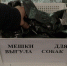 С начала года за неубранные после питомцев газоны в Хабаровске штрафами наказаны уже 78 «собачников» - ГТРК Дальневосточная