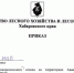 В Хабаровском крае на землях лесного фонда открыт пожароопасный сезон - Министерство лесного хозяйства
