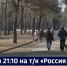 Смотрите в 21:10. Активность клещей в Хабаровском крае растёт с каждым днём из-за тёплой погоды - ГТРК Дальневосточная