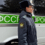 Судебные приставы взыскали двухмиллионный ущерб за незаконную вырубку леса - УФССП