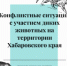 Конфликтные ситуации с участием диких животных на территории Хабаровского края с 03.04.2026 по 09.04.2026 - Управление охотничьего хозяйства