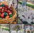 Предпасхальный грабёж: куличи по 500 рублей за 350 граммов - Khabara.Ru