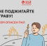 На территории Хабаровского муниципального района сохраняется особый противопожарный режим, пал сухой травы запрещен! - Администрация Хабаровского района