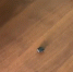 JPG Файл - УМВД Хабаровского края 